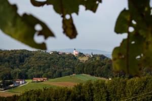 rsz_16572951