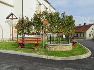 rsz_165905potomka_stare_trte