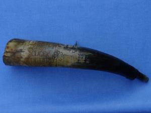 rsz_165731barovčinov_rog